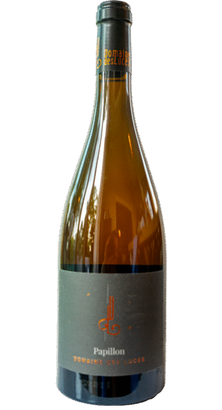 Papillon blanc 2023